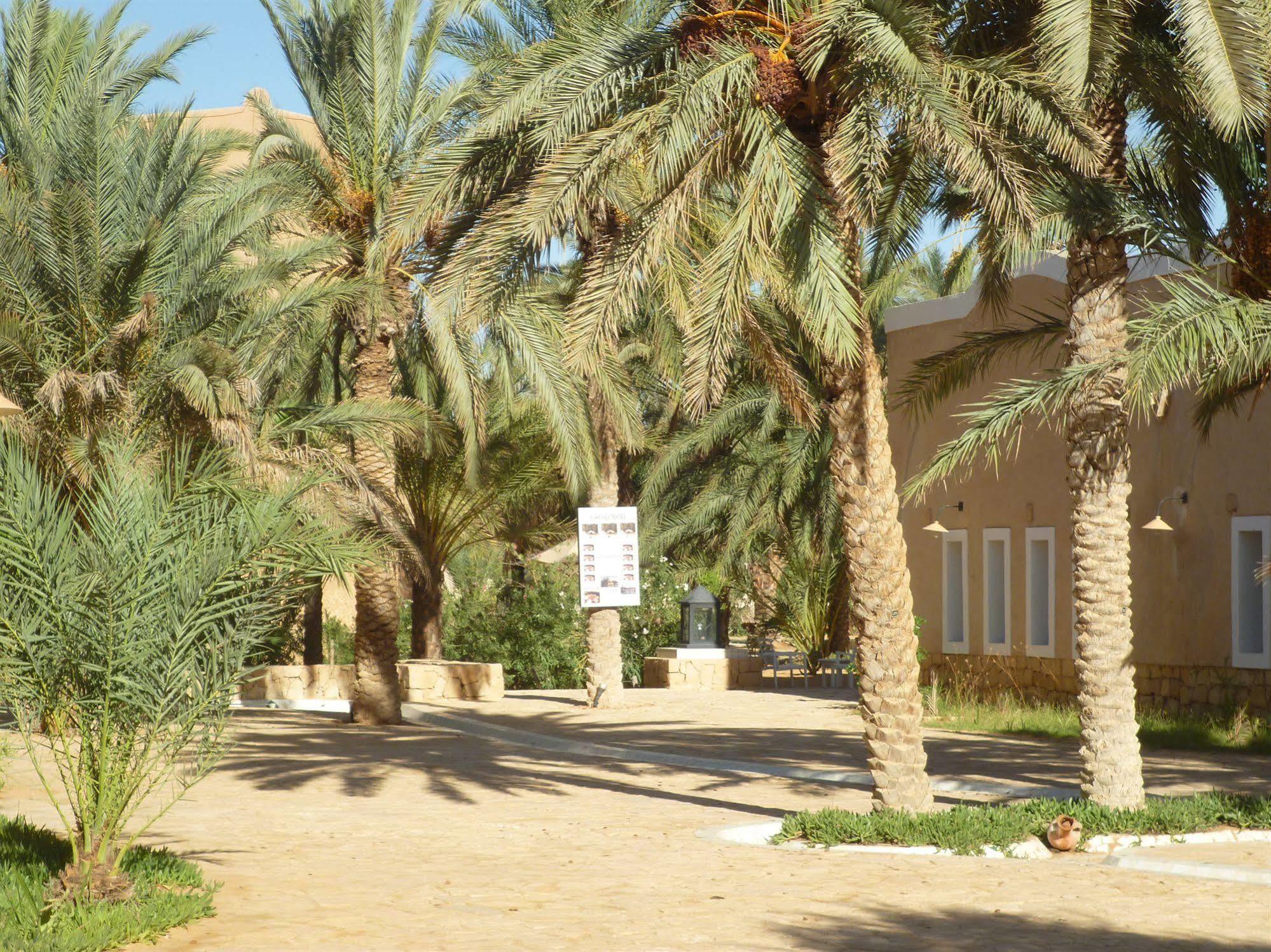 Campement Yadis Ksar Ghilane Exteriör bild